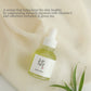 Calming Serum : Green tea + Panthenol [Renewed] 30ml | Beauty of Joseon